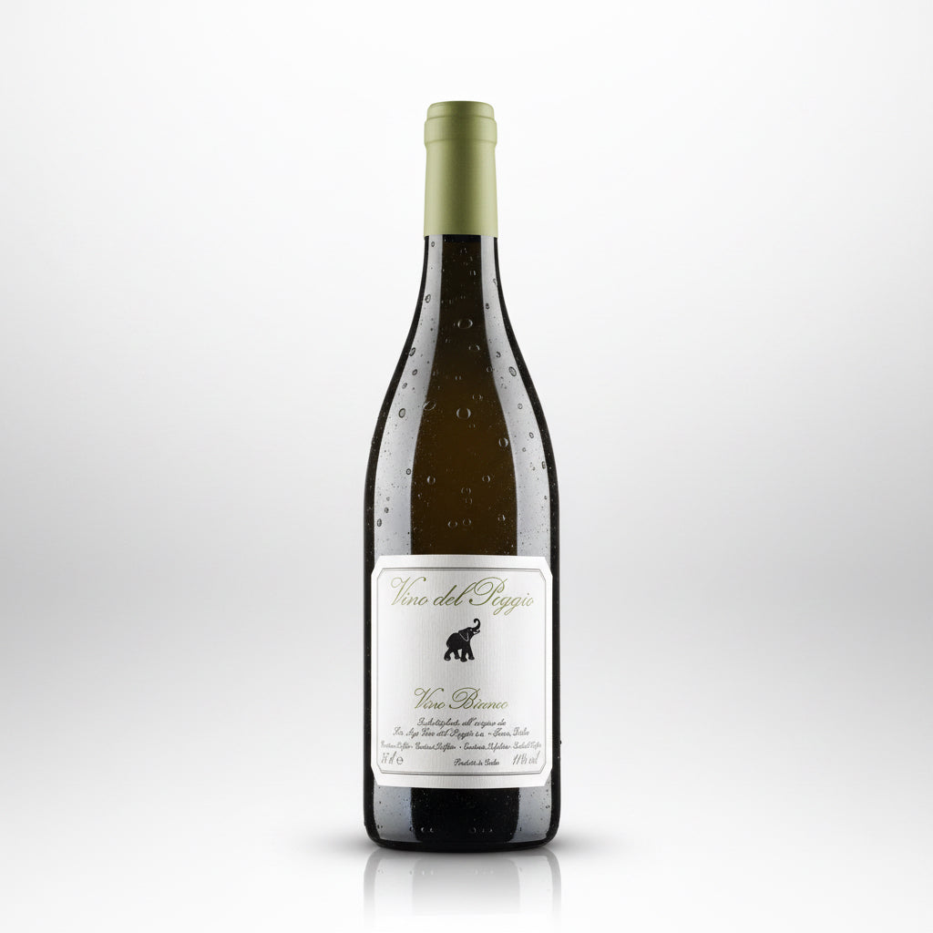 Vino del Poggio - Sauvignon 2022