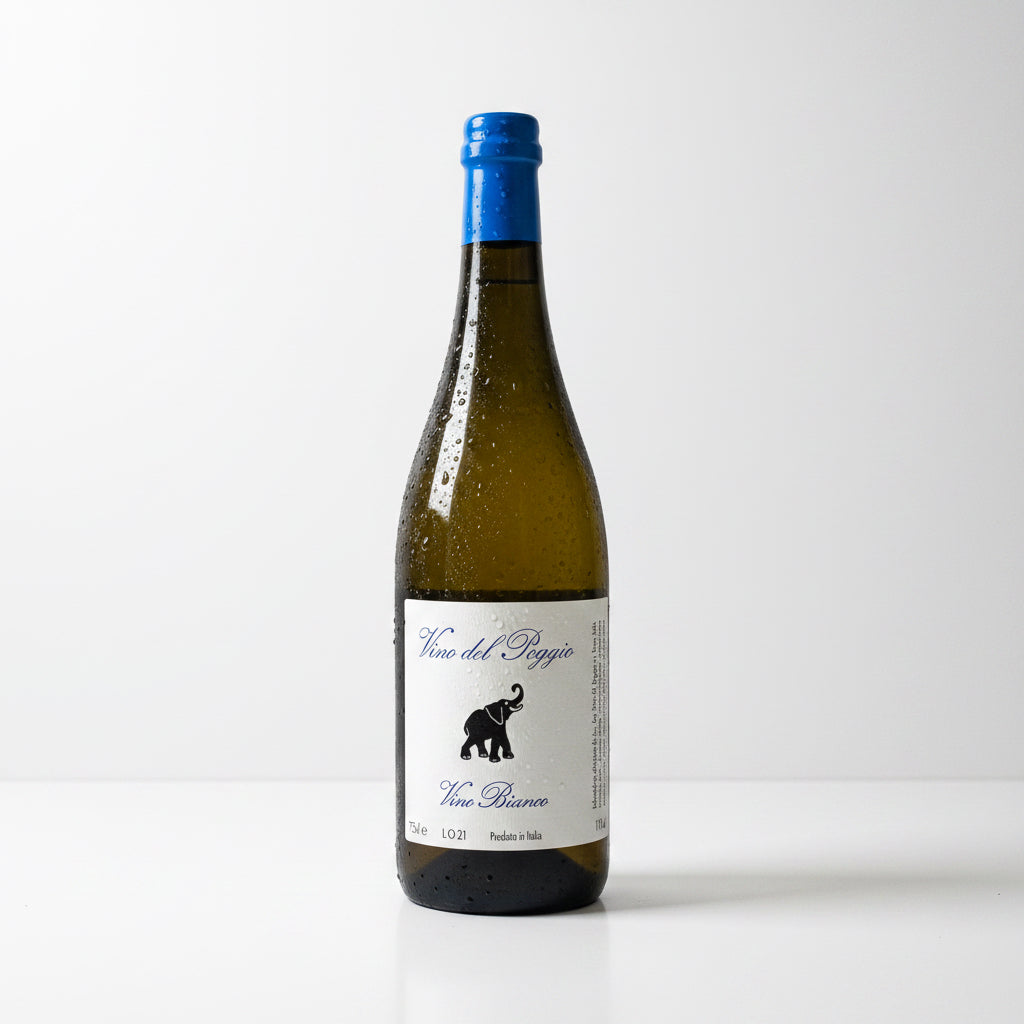 Vino del Poggio - Ortrugo 2021